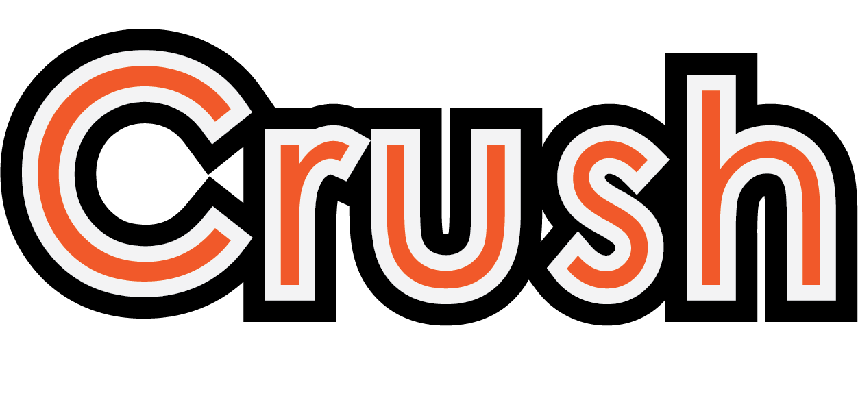 Logo PS MEGA SHINE CHIC